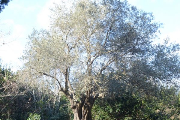 Обилазак манастира Хиландар