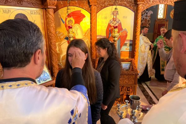 94591f5b-0068-4aca-885a-55fcab56f3cc