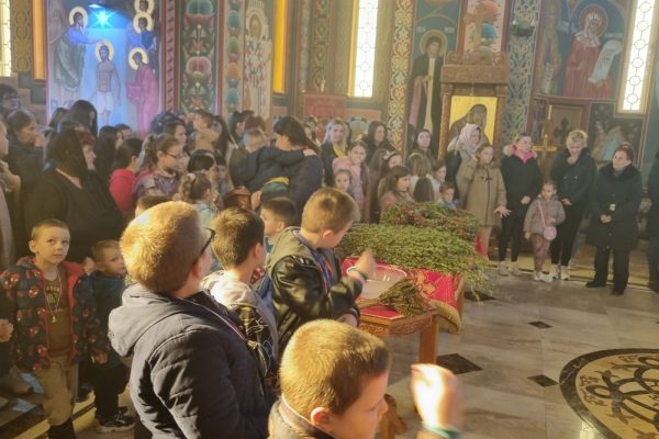 IMG-1c49fb77cd3fd8a933e61c03161393ae-V