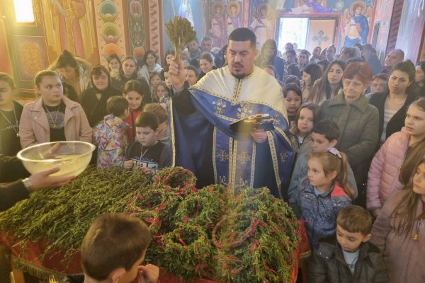 IMG-9912b4dcd3911b9c5d5a04318035f4f6-V