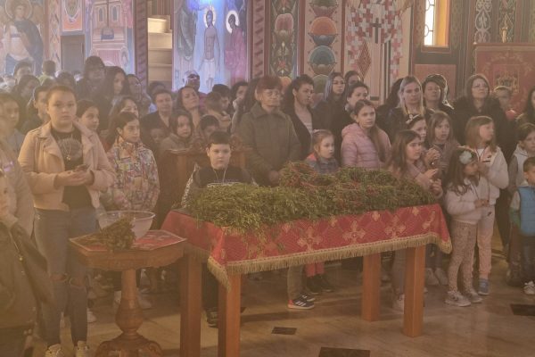 IMG-a765d20f4cbdb60c5db4629f9c844239-V