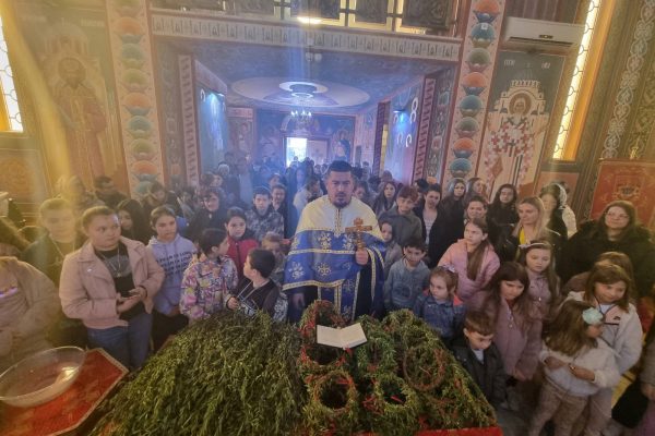 IMG-c1bfd7acb84231f1eb2e93f5461eb68f-V